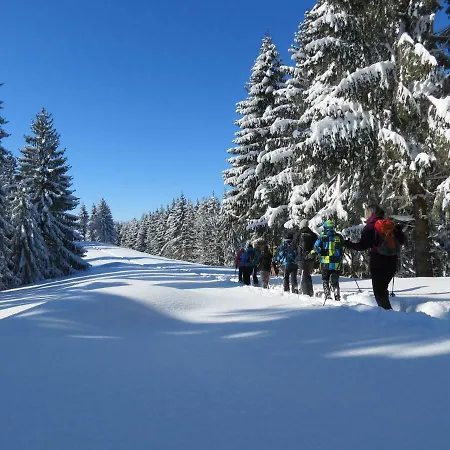 Schöne EinZimmer Wohnung Zwischen Bodensee und Allgäu Neukirch  Exterior foto