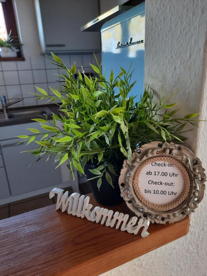 Schoene Einzimmer Zwischen Bodensee Und Allgaeu